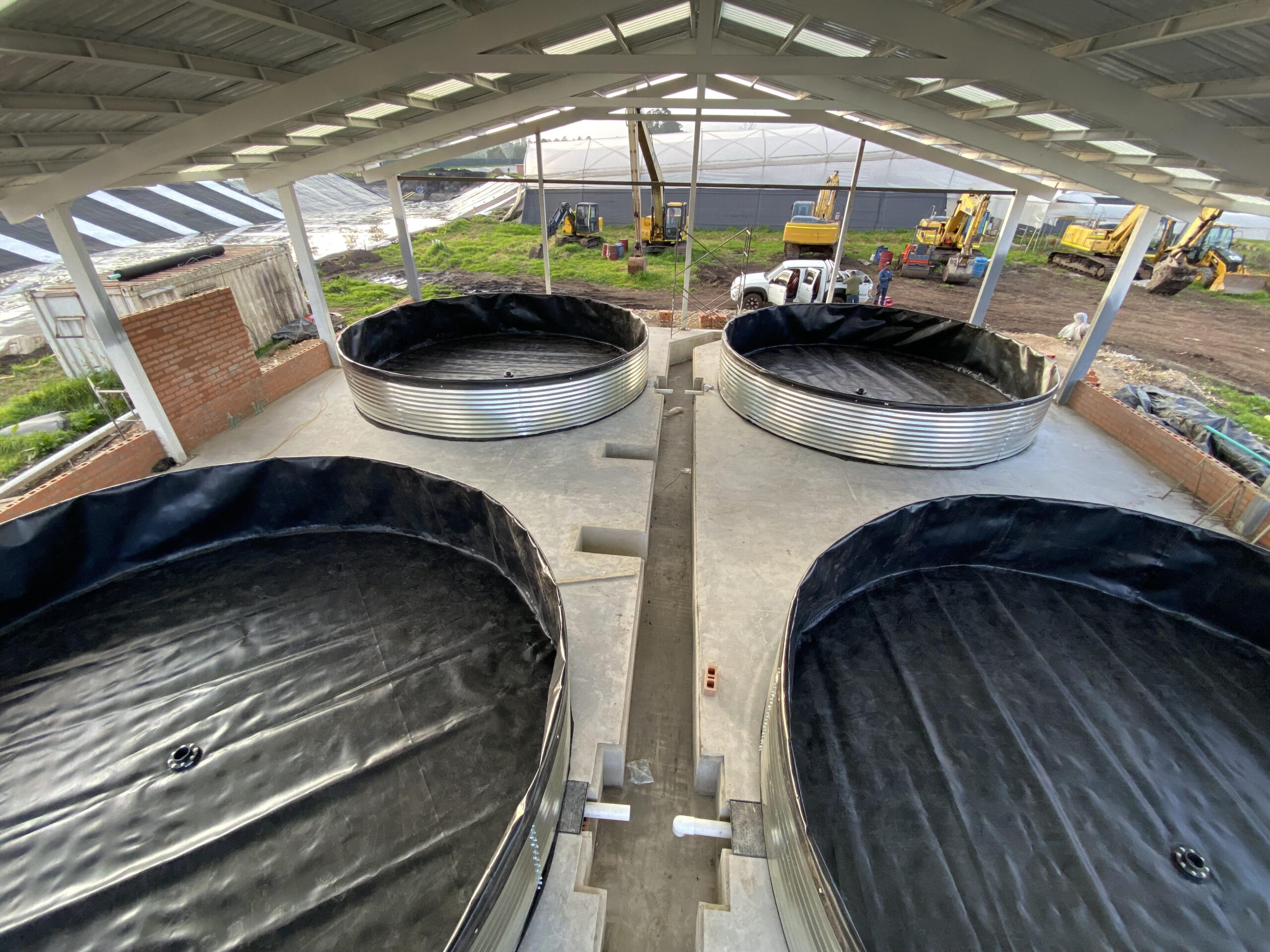 Tanques Australianos